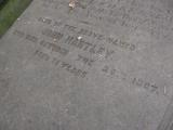 image of grave number 141366